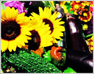 フラワーショップミルエクラ.今までの作品