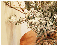 フラワーショップミルエクラ.今までの作品