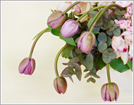 フラワーショップミルエクラ.今までの作品