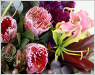 フラワーショップミルエクラ.今までの作品