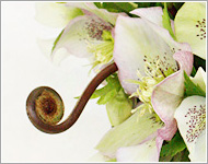 フラワーショップミルエクラ.今までの作品