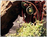 フラワーショップミルエクラ.今までの作品